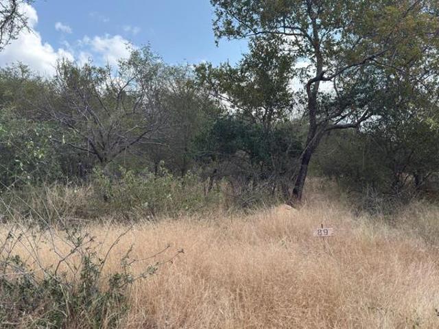2 400 m² Land available in Hoedspruit