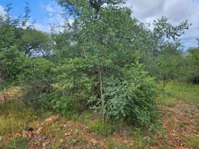 2 423 m² Land available in Hoedspruit