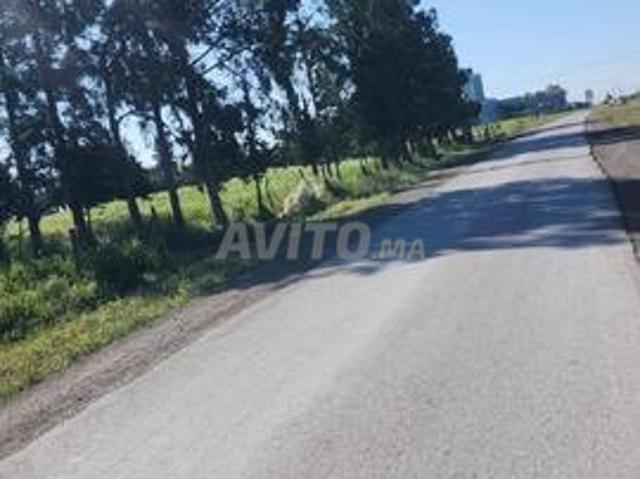 2.43 ha titré sur la route à 14 km du c. Ville