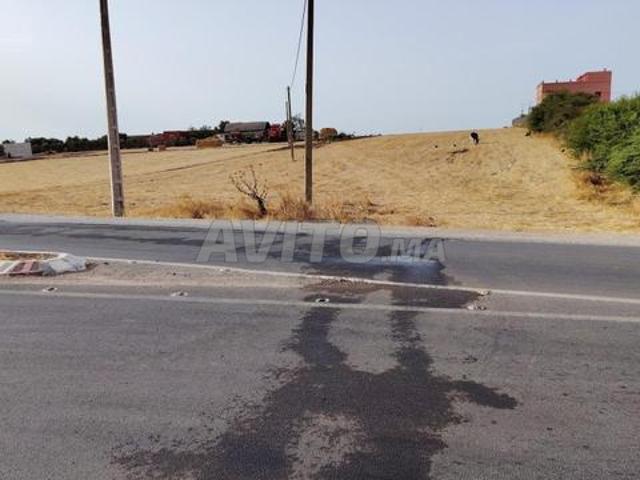 2.56 ha titré sur la route à toualaa Benslimane