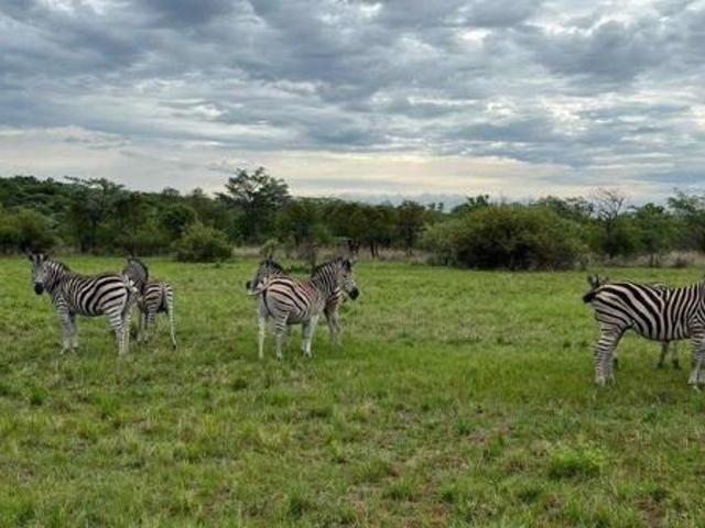 2 503 m² Land available in Bela Warmbaths