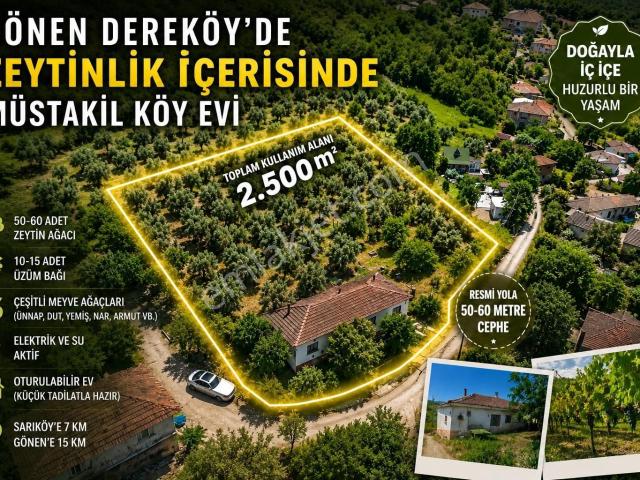 2.500 M² Dereköy'de Zeytinlikle Müstakil Köy Evi Doğa Ve Huzur