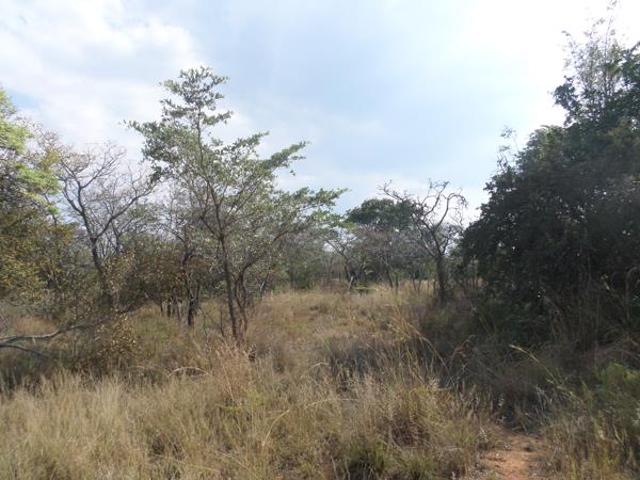 2 500 m² Land available in Modimolle Nylstroom
