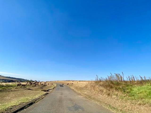 2 500 m² Land available in Bisley