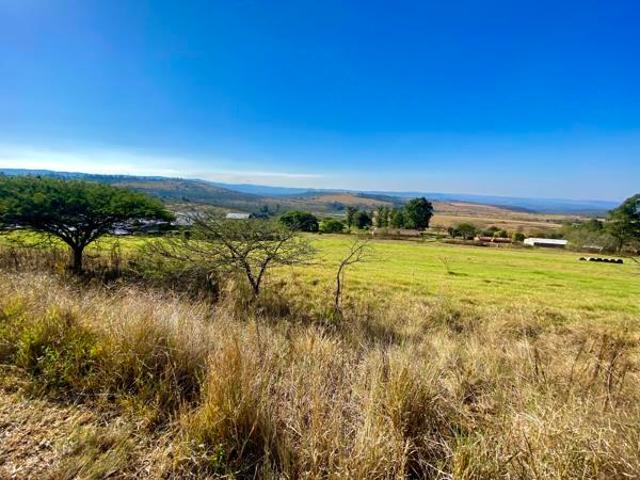 2 500 m² Land available in Bisley