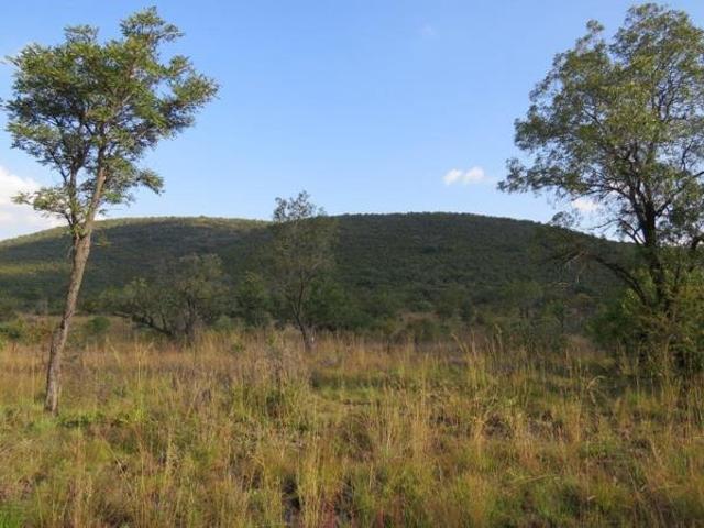 2 500 m² Land available in Zwartkloof Private Game Reserve