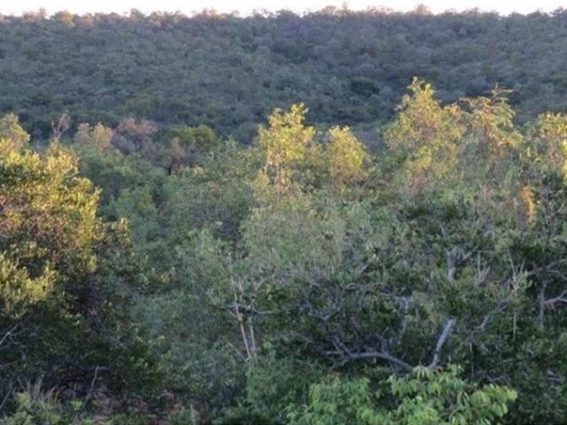 2 500 m² Land available in Zwartkloof Private Game Reserve