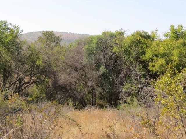 2 500 m² Land available in Zwartkloof Private Game Reserve