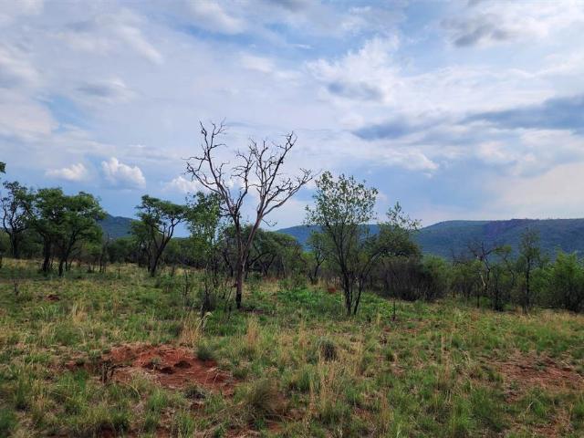 2 500 m² Land available in Zwartkloof Private Game Reserve