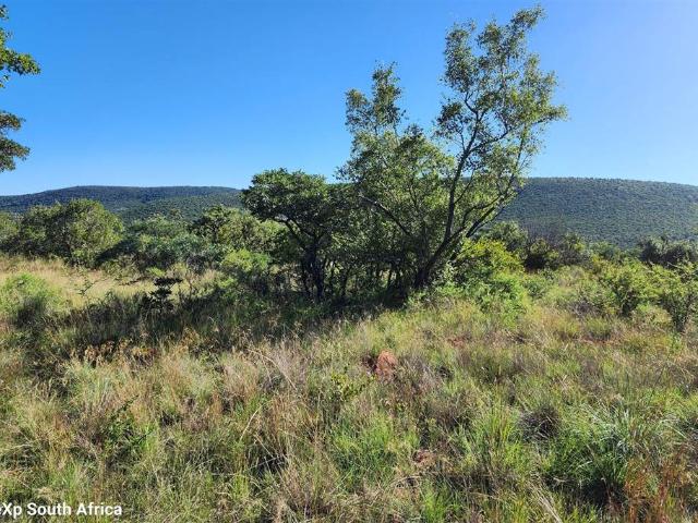 2 500 m² Land available in Zwartkloof Private Game Reserve