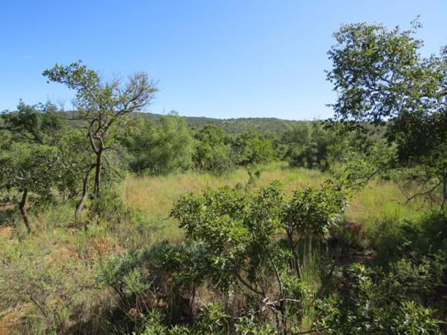 2 500 m² Land available in Zwartkloof Private Game Reserve