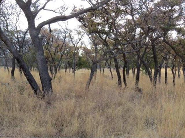2 500 m² Land available in Zwartkloof Private Game Reserve