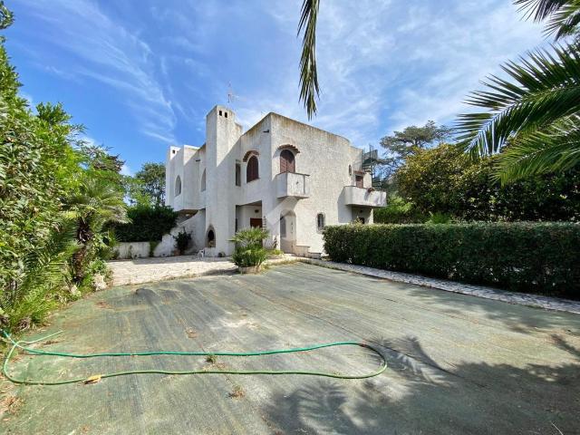 2.500 / mese, 100 Mq Tecnocasa.it 61221044