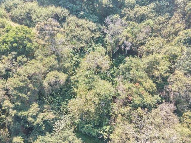 2 514 m² Land available in Umtentweni