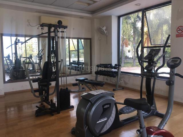 2.5 BHK Apartment in Handewadi for rent Pune. The reference number is 20682125