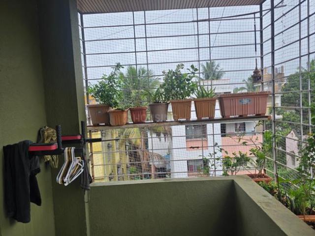 2.5 BHK Apartment in Karve Nagar for rent Pune. The reference number is 20648124