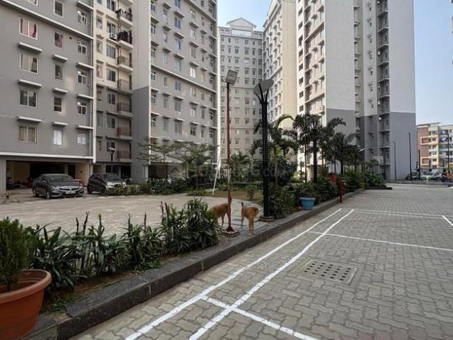 2.5 BHK Apartment in Morabadi for rent Ranchi. The reference number is 20315913