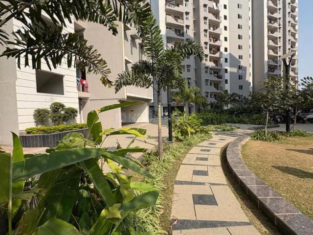 2.5 BHK Apartment in Morabadi for rent Ranchi. The reference number is 20316027