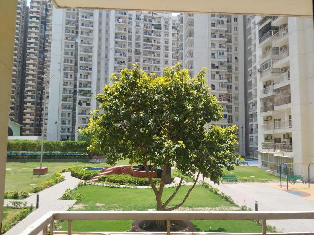 2.5 BHK Apartment in Noida Extension for rent Greater Noida. The reference number is 20226808