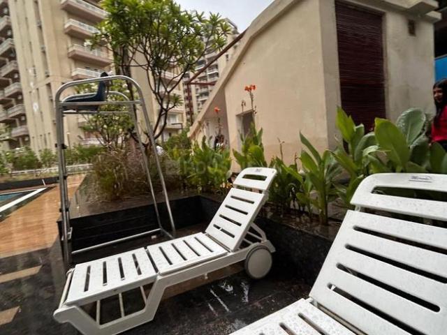 2.5 BHK Apartment in Sector 36 for rent Sohna. The reference number is 20068694