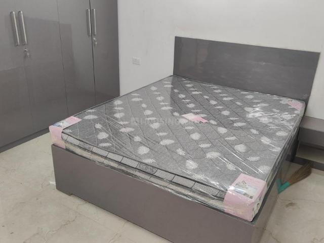 2.5 BHK Apartment in Sector 61 for rent Gurgaon. The reference number is 20489990