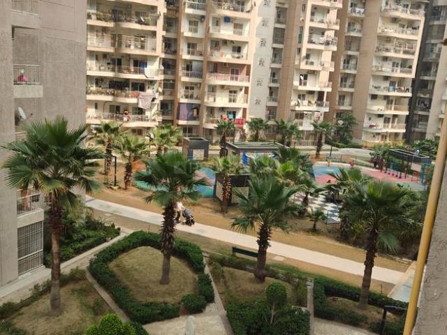 2.5 BHK Apartment in Sector 74 for rent Noida. The reference number is 20246973