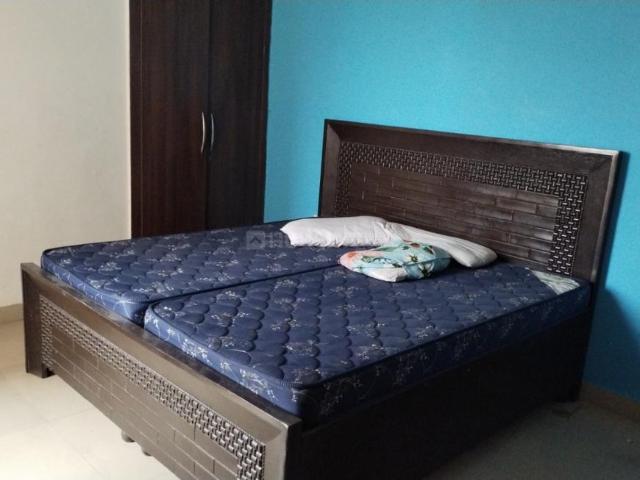 2.5 BHK Apartment in Sector 74 for rent Noida. The reference number is 20316752