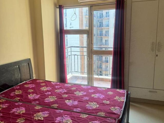 2.5 BHK Apartment in Sector 75 for rent Noida. The reference number is 20507556