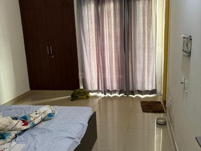 2.5 BHK Apartment in Sector 77 for rent Noida. The reference number is 20398031