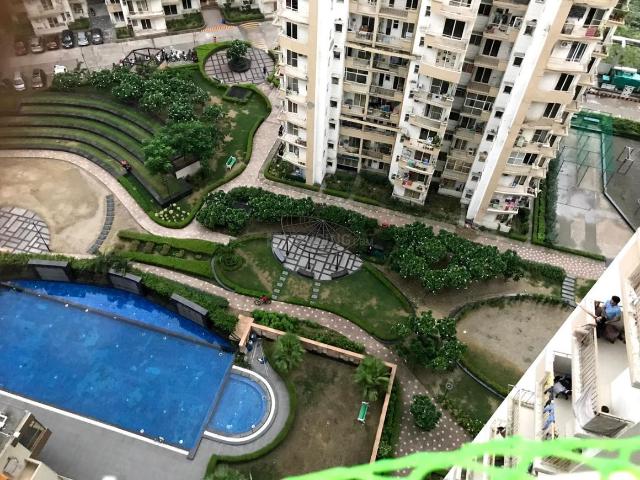 2.5 BHK Apartment in Sector 78 for rent Noida. The reference number is 20774348