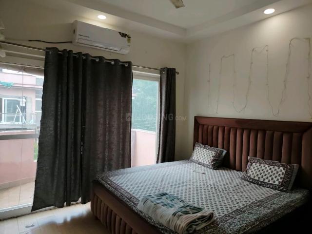 2.5 BHK Independent Builder Floor in Sector 49 for rent Gurgaon. The reference number is 20379364