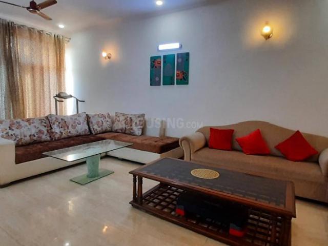 2.5 BHK Independent Builder Floor in Sector 41 for rent Noida. The reference number is 20591692