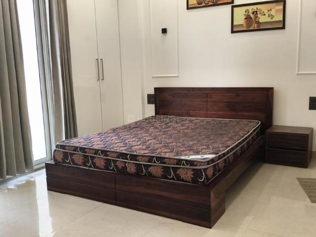 2.5 BHK Independent Builder Floor in Sector 52A for rent Gurgaon. The reference number is 20227781