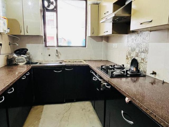 2.5 BHK Independent Builder Floor in Palam Vihar for rent Gurgaon. The reference number is 20751793