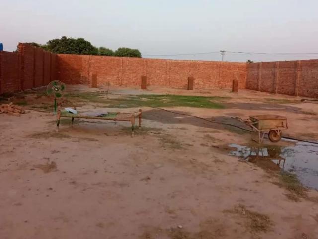 2.5 kanal plot for rent Multan ID 17148