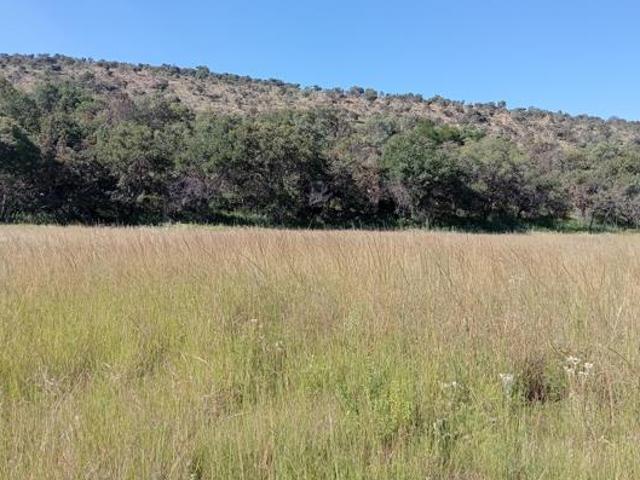 2.5 ha Land available in Modimolle Nylstroom