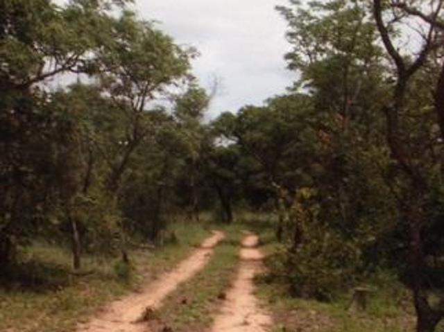 2.5 ha Land available in Modimolle Nylstroom Outlying