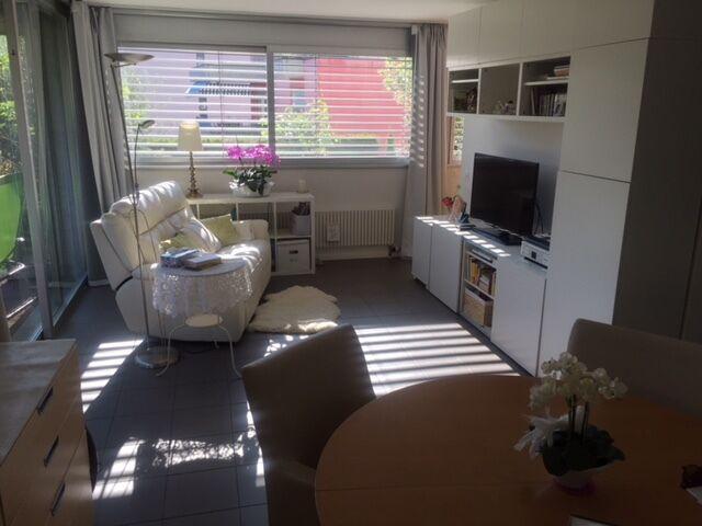 2.5 room apartment for rent with lake view