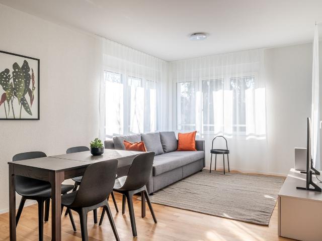 2.5 room apartment – modern home in the heart of Basel, Basel Amsterdam Apartments for Rent