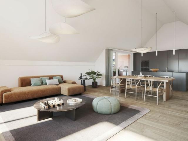 Attraktive 2.5 Zimmer Attikawohnung