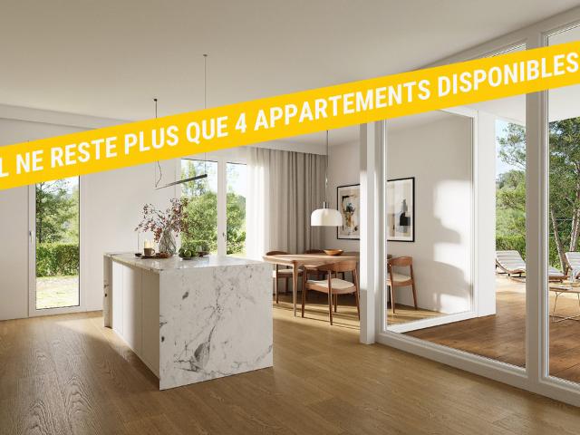 2.5 Zimmer Apartment im Dachgeschoss B.4