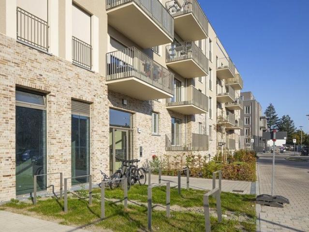 2,5 zimmer erdgeschosswohnung zur miete in berlin köpenick