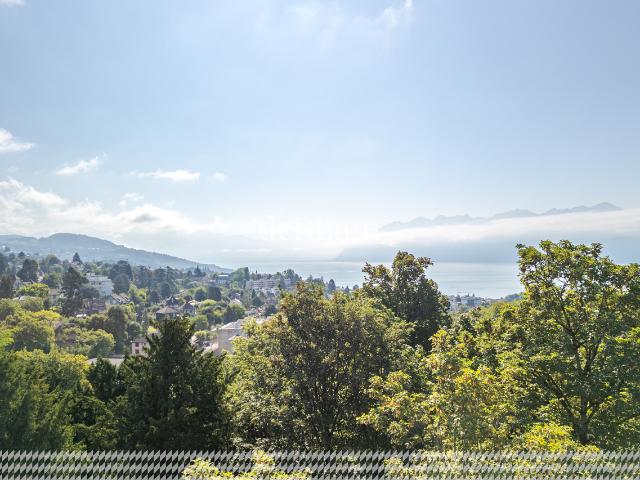2.5 Zimmer Wohnung Blick auf den See und die Alpen