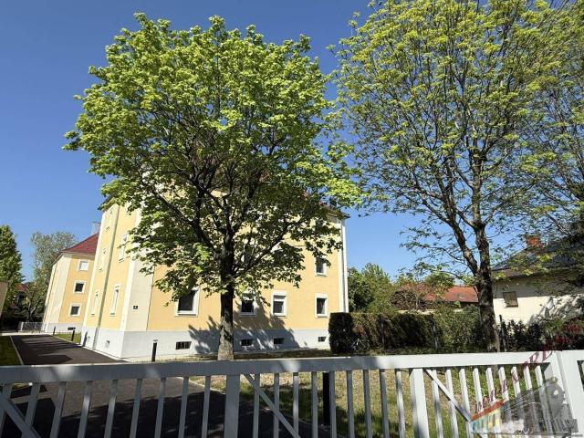 2,5 Zimmer Wohnung zum sanieren in Bad Vöslau