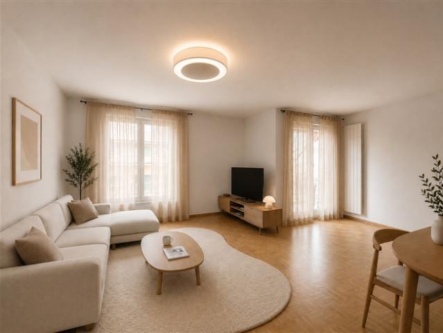 2,5 Zimmer Wohnung im Herzen von Belmont