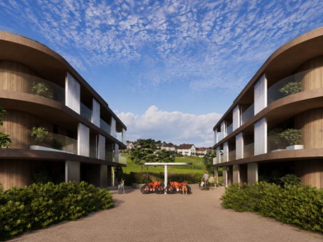 2,5 Zimmer Wohnung Los B14