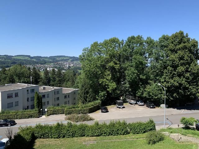 2.5 Zimmer Wohnung mit genialer Aussicht!