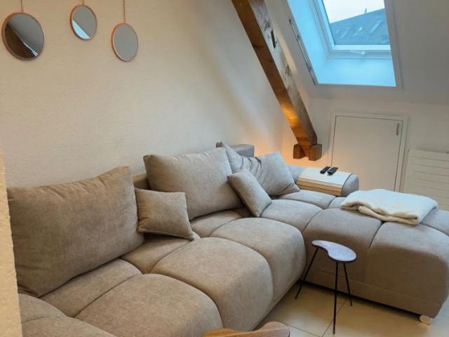2.5 Zimmer, 24 m²