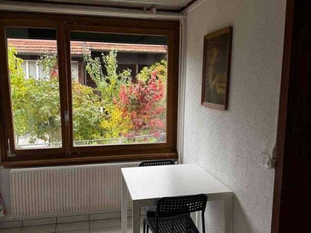 2.5 Zimmer, 35 m², EG