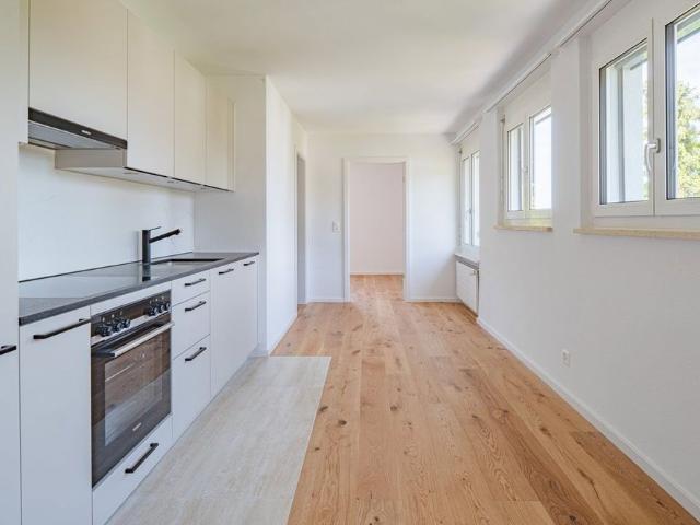 2.5 Zimmer, 39 m², EG